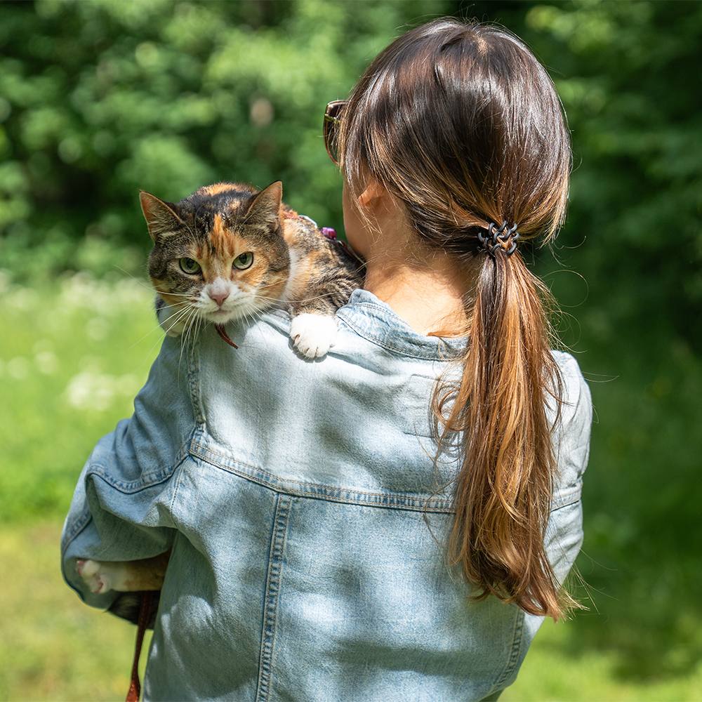pet-sitter pour garde d'animaux et visites à domicile à Caen